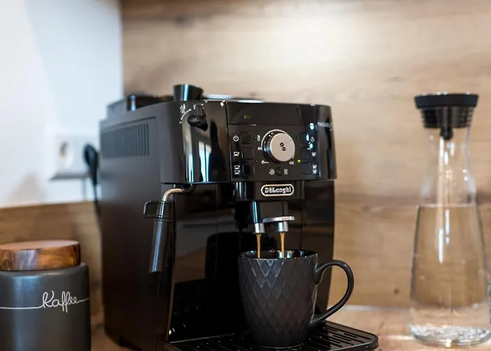 Matt ' Alpenblick & Dorfidylle Im Modernen Lägenhet Höchenschwand