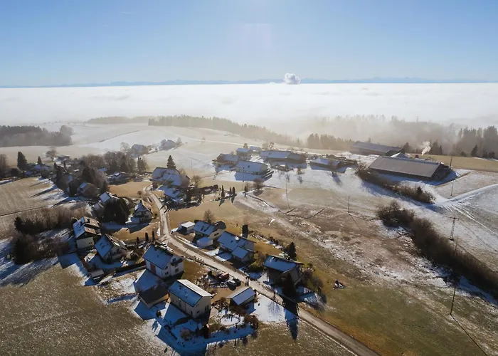 Lägenhet Matt ' Alpenblick & Dorfidylle Im Modernen Höchenschwand